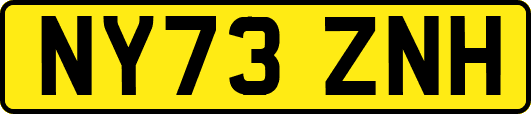 NY73ZNH