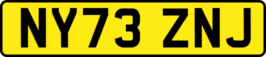 NY73ZNJ
