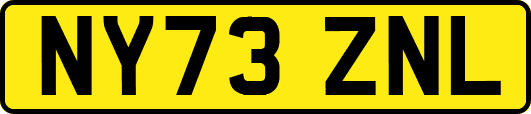 NY73ZNL