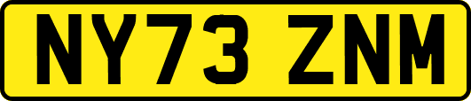 NY73ZNM