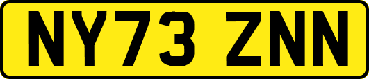 NY73ZNN