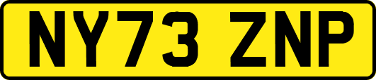 NY73ZNP