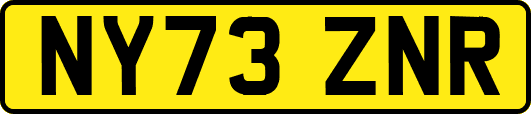 NY73ZNR