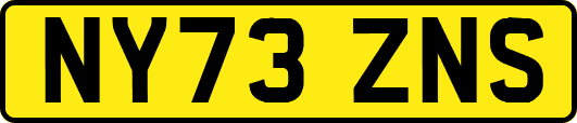 NY73ZNS