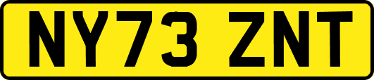 NY73ZNT