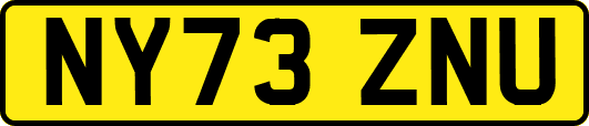 NY73ZNU