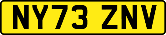 NY73ZNV