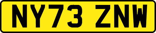 NY73ZNW