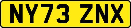 NY73ZNX