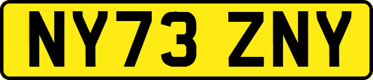 NY73ZNY