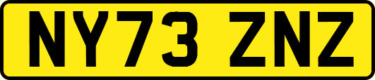 NY73ZNZ