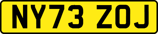 NY73ZOJ