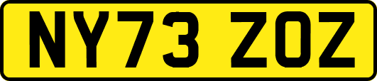 NY73ZOZ