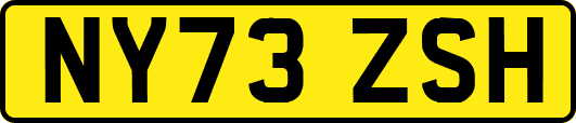 NY73ZSH