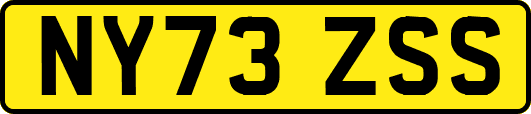NY73ZSS