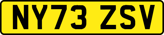 NY73ZSV