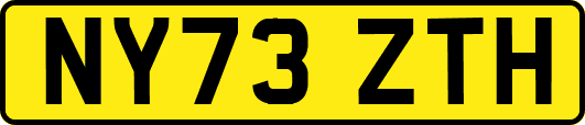 NY73ZTH