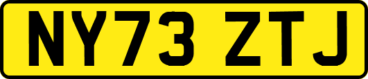 NY73ZTJ