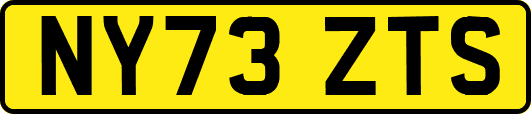 NY73ZTS