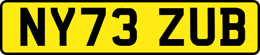 NY73ZUB