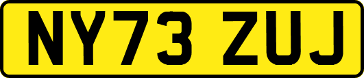 NY73ZUJ