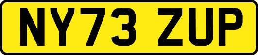 NY73ZUP
