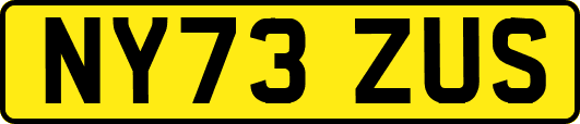 NY73ZUS