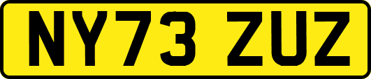 NY73ZUZ