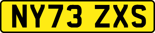 NY73ZXS