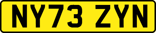 NY73ZYN