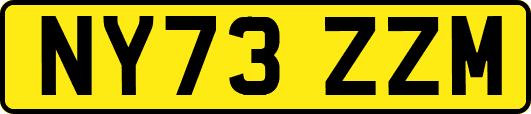 NY73ZZM