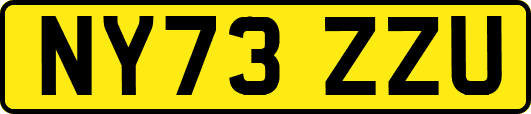 NY73ZZU