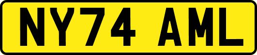 NY74AML