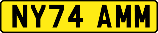 NY74AMM