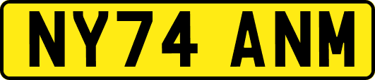 NY74ANM