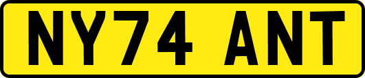 NY74ANT