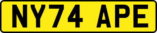 NY74APE