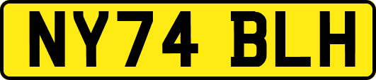 NY74BLH
