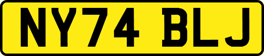 NY74BLJ
