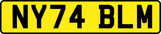 NY74BLM