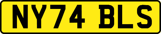 NY74BLS