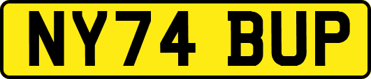 NY74BUP