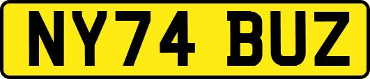 NY74BUZ