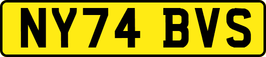 NY74BVS