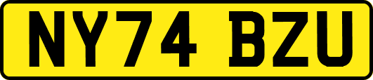 NY74BZU
