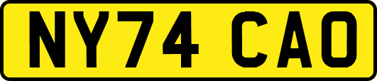 NY74CAO