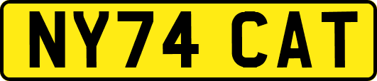 NY74CAT