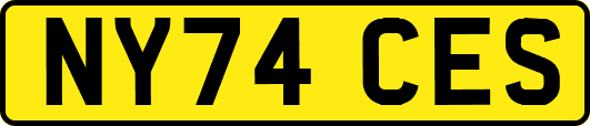 NY74CES