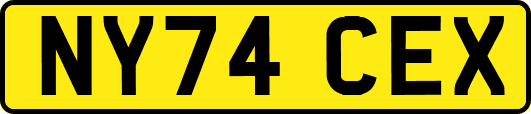 NY74CEX