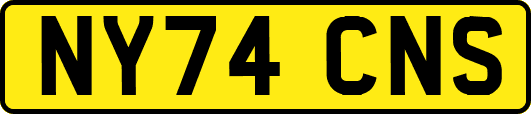 NY74CNS